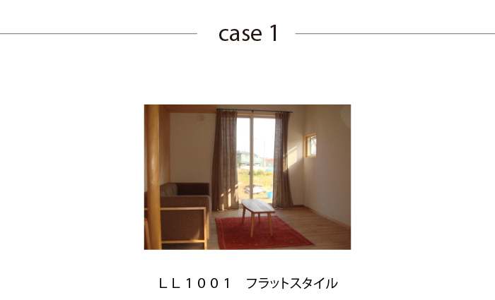 case1