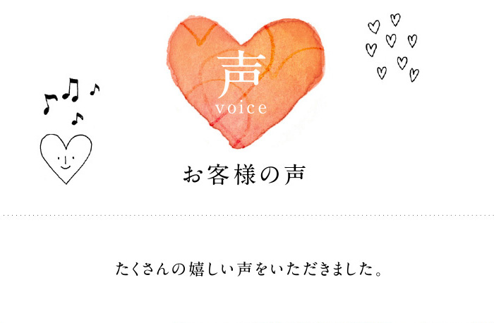 voicetop_02