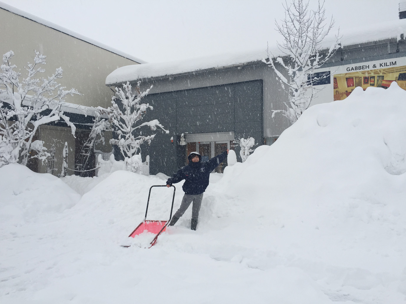 大雪のボー・デコール