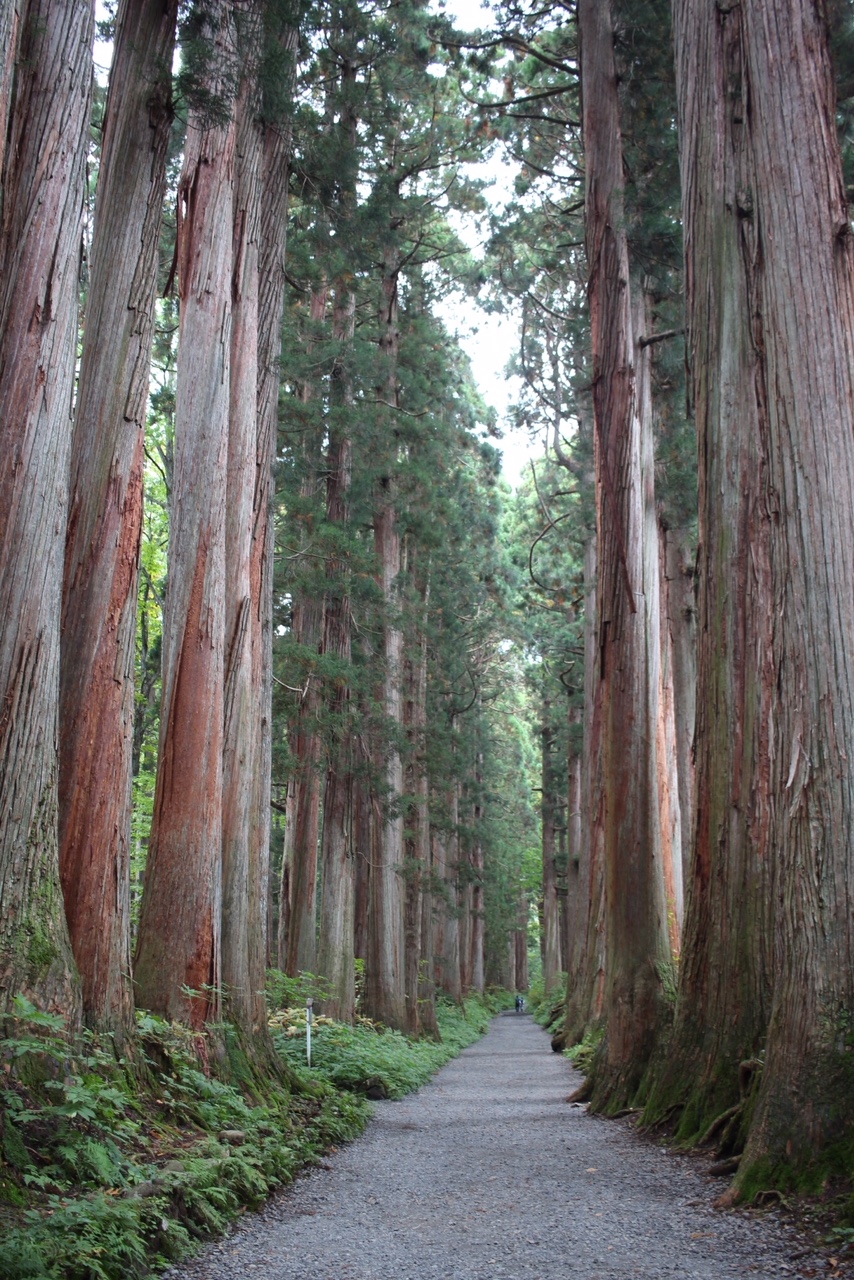 戸隠神社