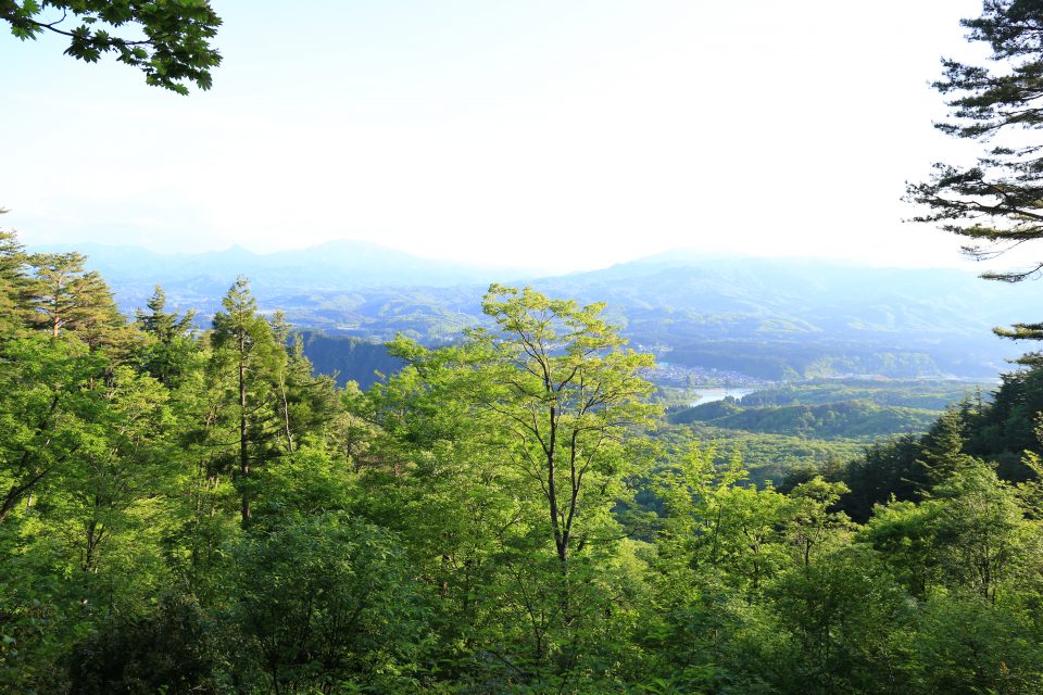 美しい津川の景色