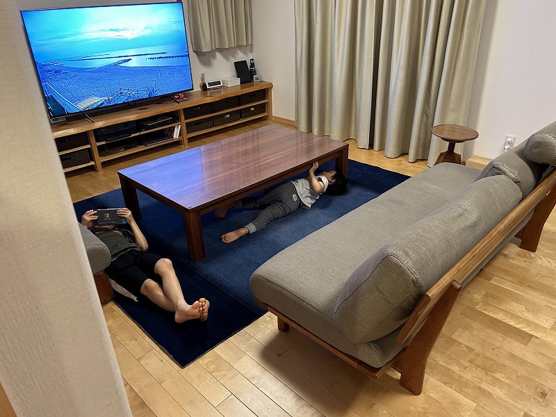 ハグみじゅうたんの上でくつろいでいる様子