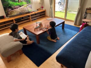 ハグみじゅうたんてざわりシリーズ