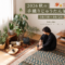 【開催決定】2026秋の手織りじゅうたん展～10/10(土)－10/25(日)